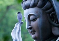 8 lí do để chuyển sang ăn chay ngay lập tức